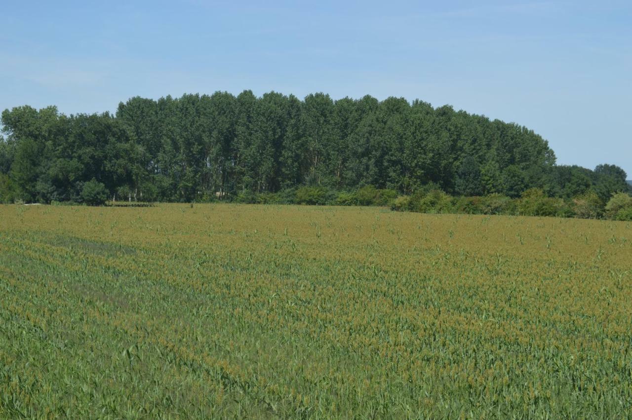 Le Port Boulet Gite Dans Le Vignoble De Bourgueil מראה חיצוני תמונה