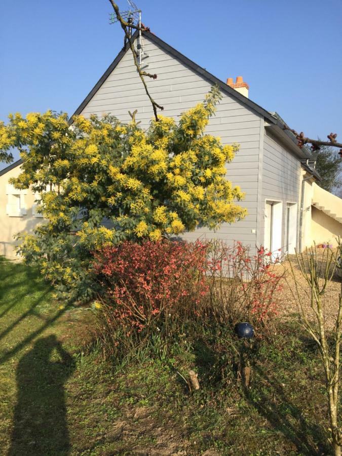 Le Port Boulet Gite Dans Le Vignoble De Bourgueil מראה חיצוני תמונה